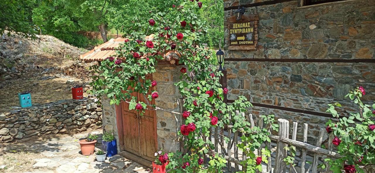 Sintrivanis Mountain Άνω Σκοτίνα Εξωτερικό φωτογραφία
