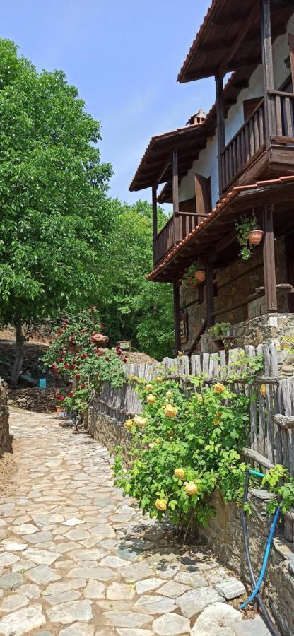 Sintrivanis Mountain Άνω Σκοτίνα Εξωτερικό φωτογραφία
