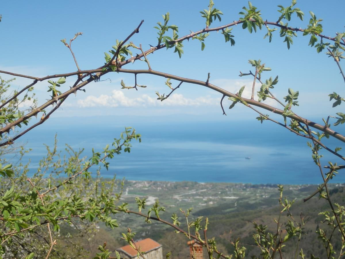 Sintrivanis Mountain Άνω Σκοτίνα Εξωτερικό φωτογραφία