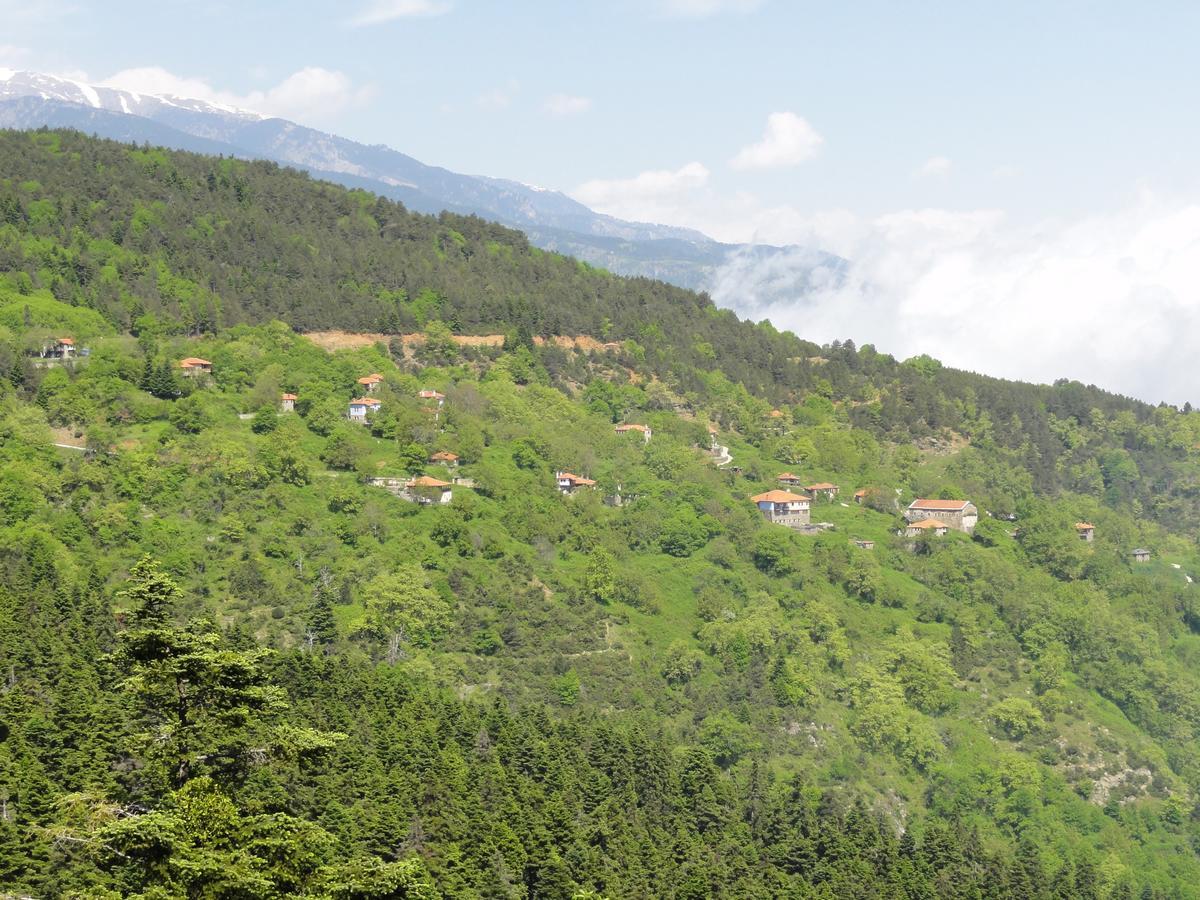 Sintrivanis Mountain Άνω Σκοτίνα Εξωτερικό φωτογραφία